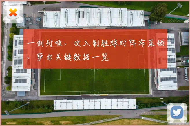 一剑封喉，攻入制胜球对阵布莱顿，萨尔关键数据一览